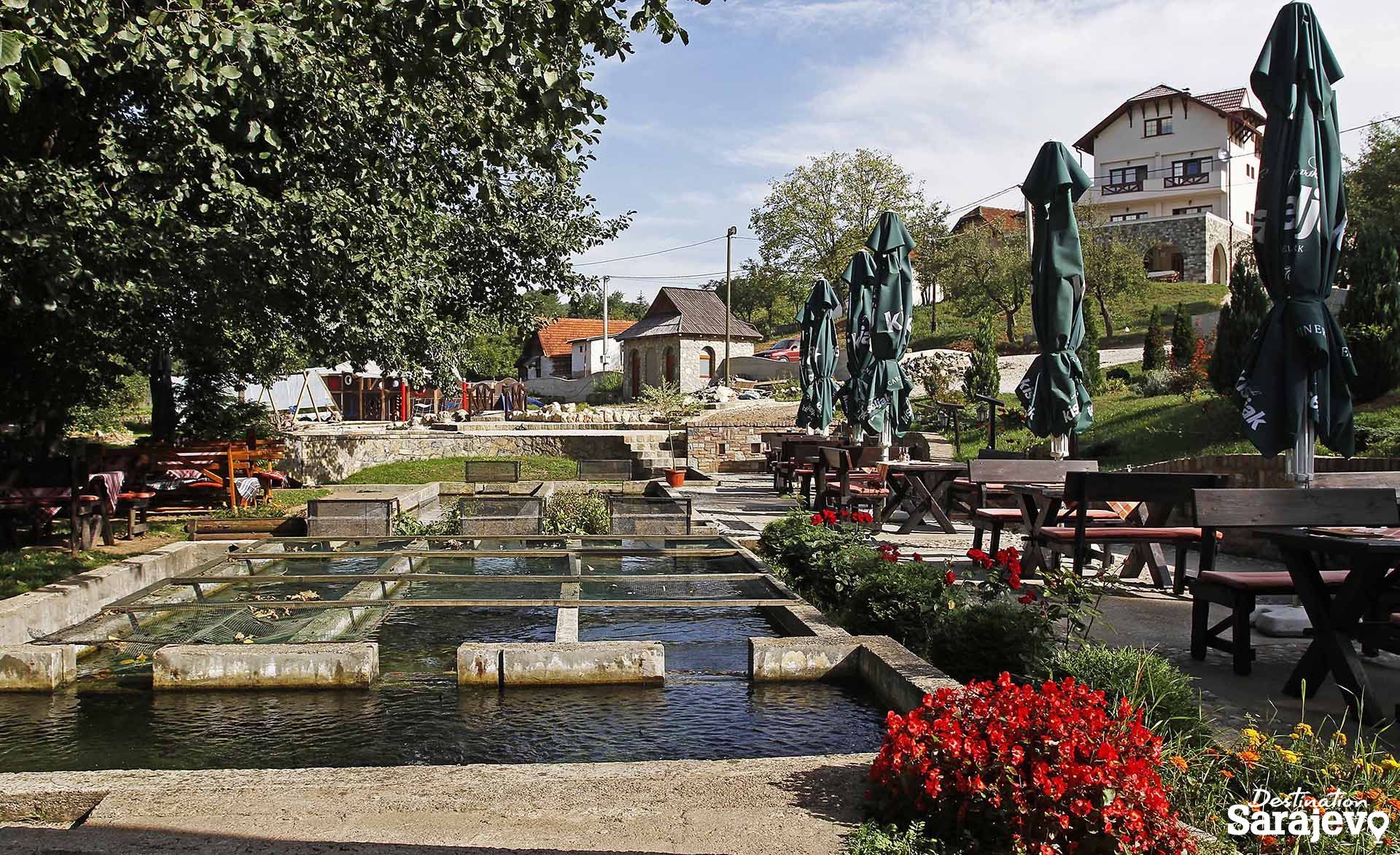 125-ribnjak-toplik-6-1587764307.jpg