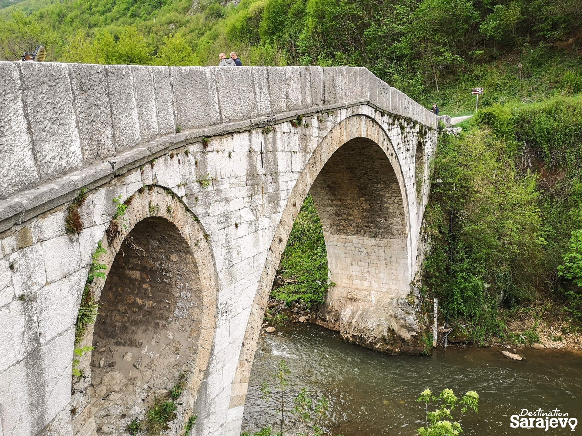 136-kozija-cuprija-170245-1-1589199413.jpg