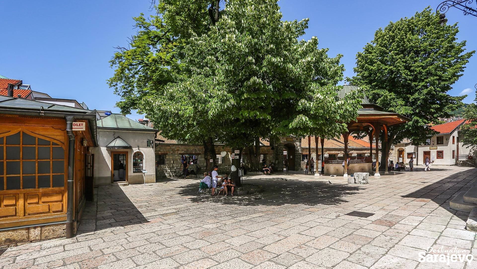 176-begova2-1572274795.jpg