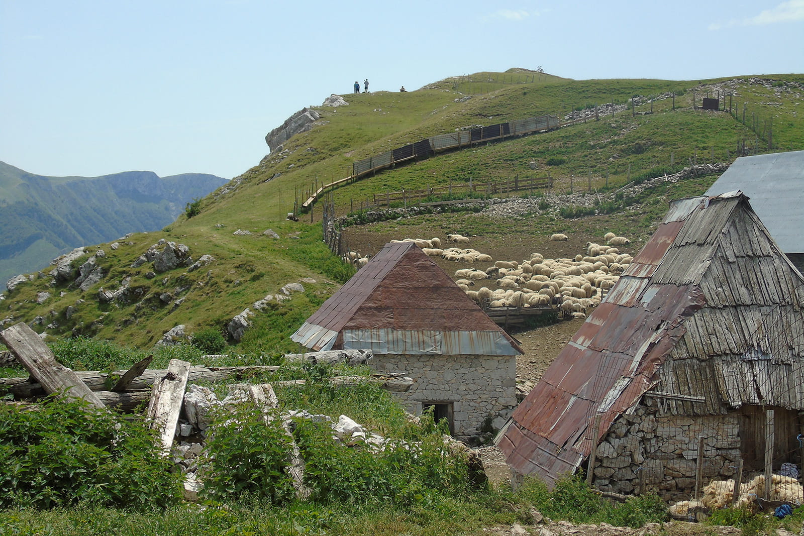 231-lukomir-05-1782815675.jpg