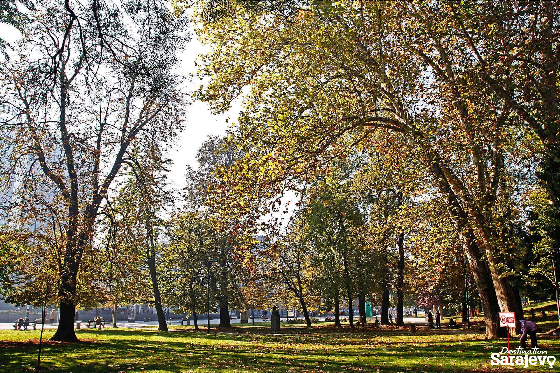 241-veliki-park1-1585738702.jpg