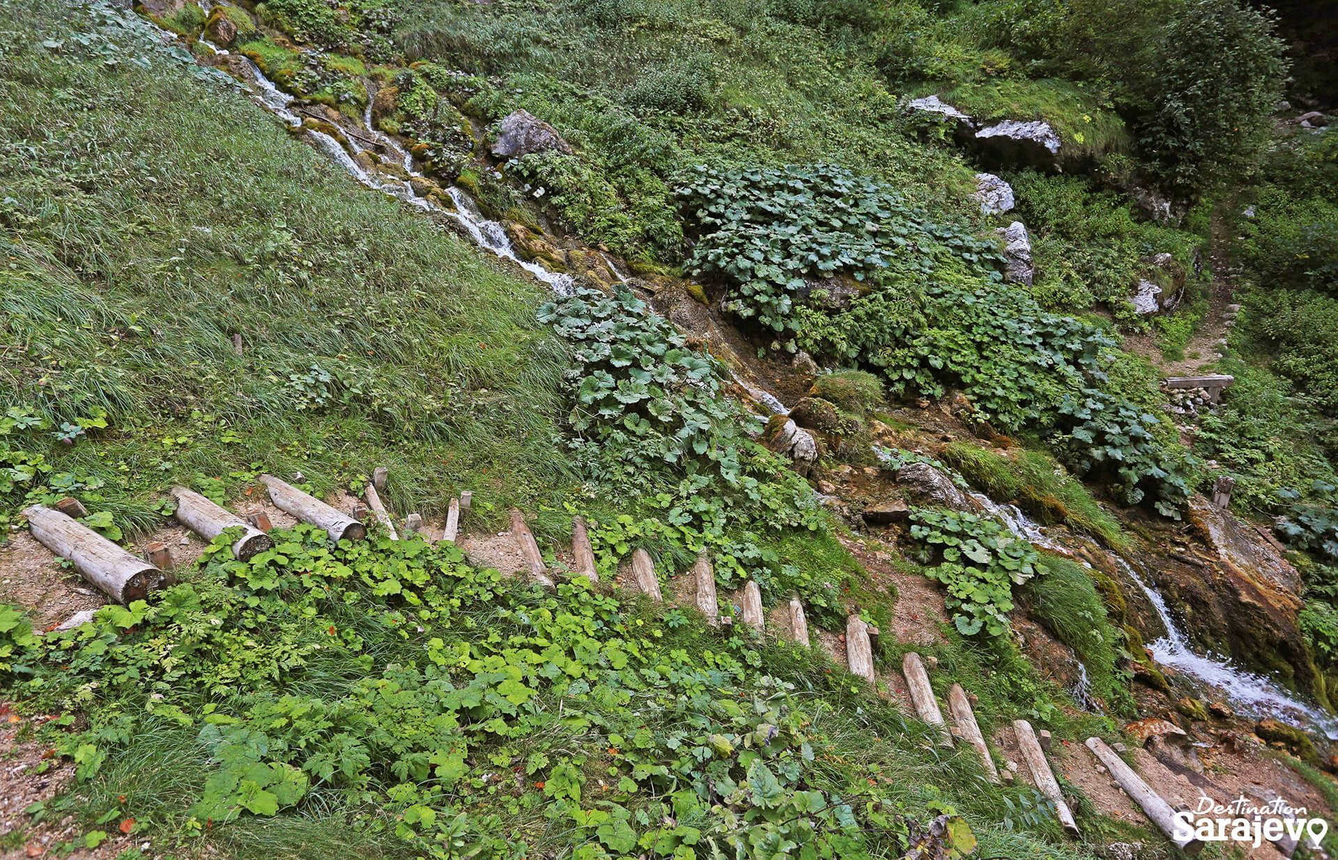 450-skakavac-25-1587579735.jpg