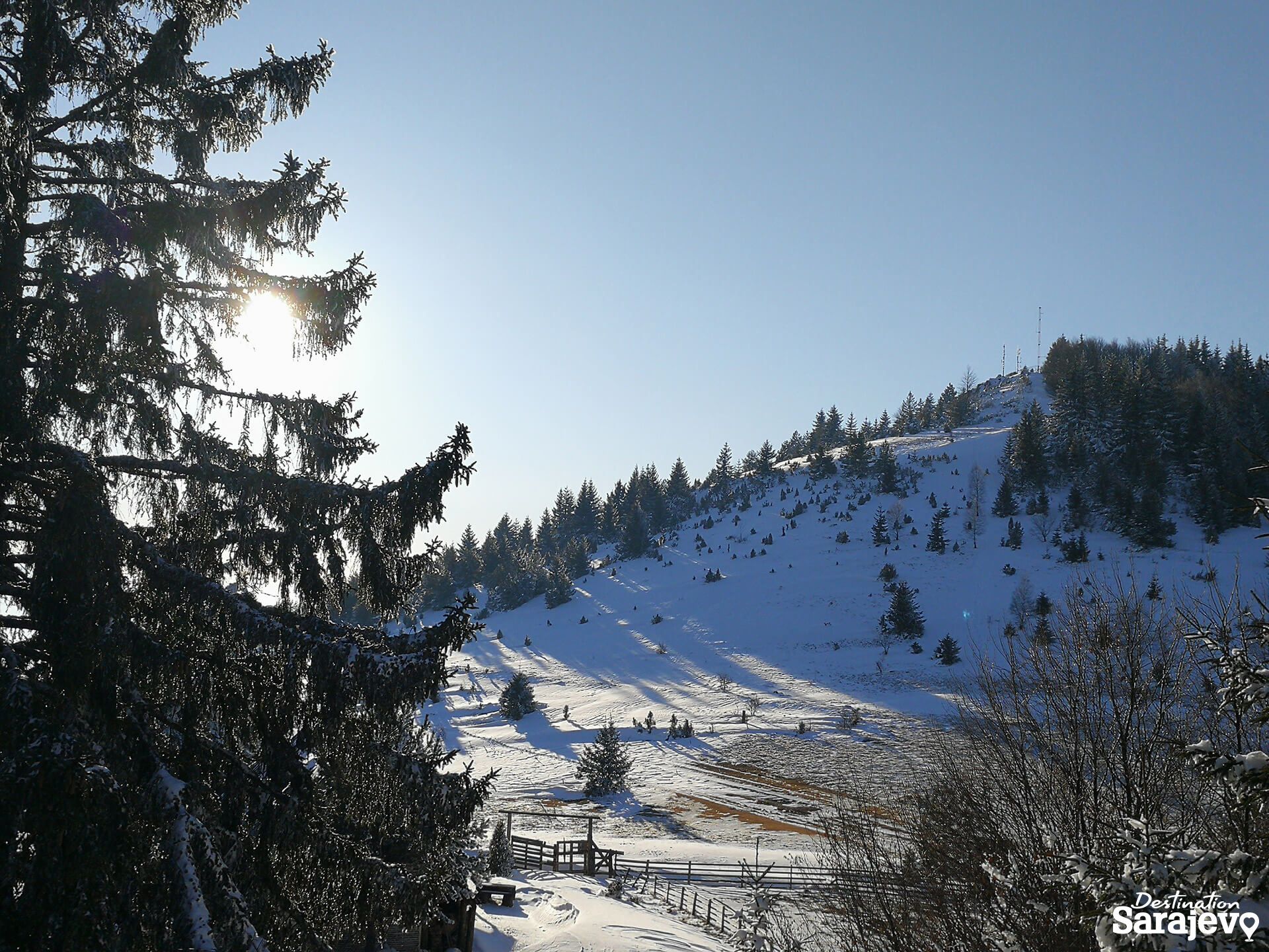 454-bukovik-1-1588760975.jpg