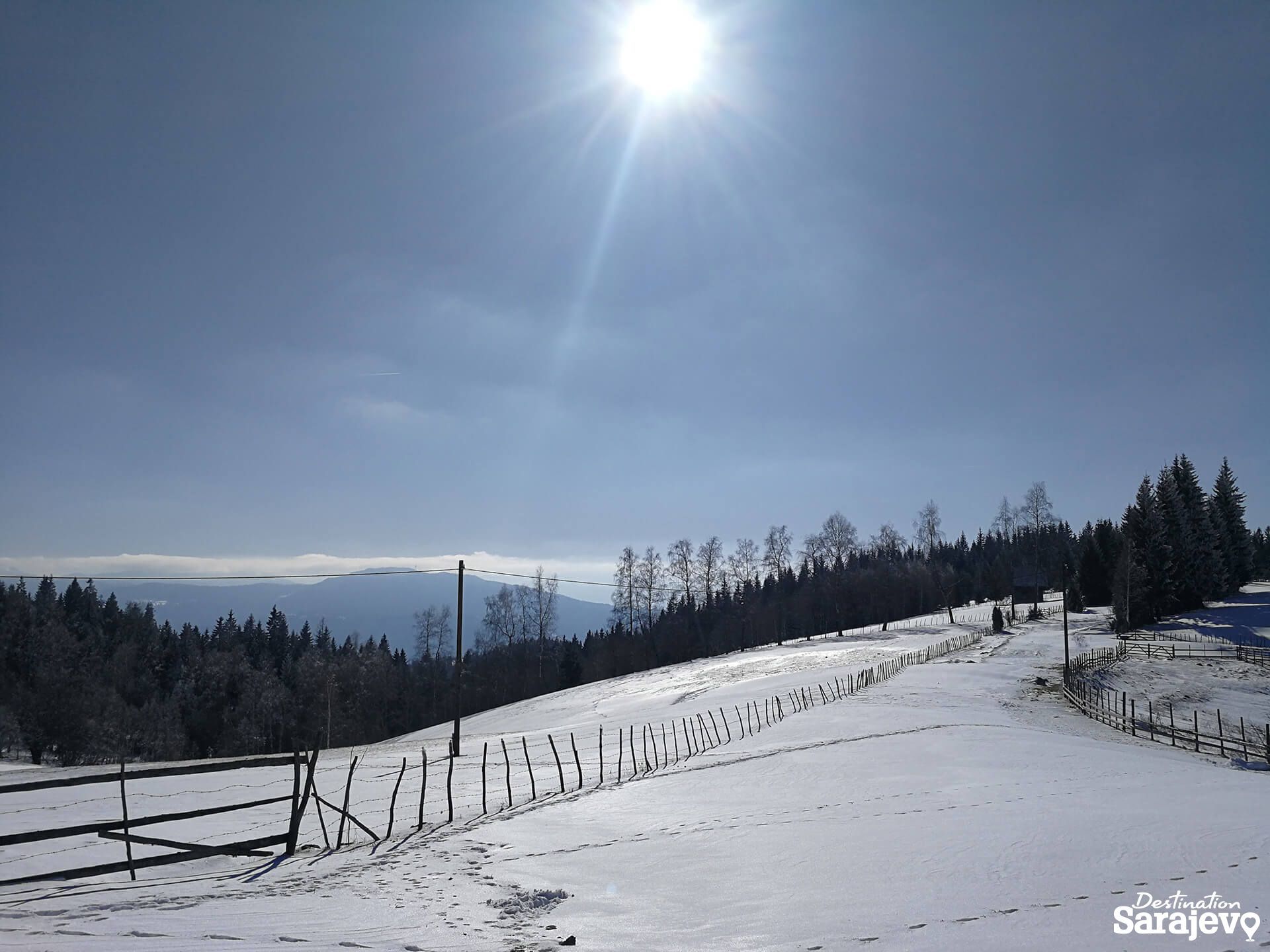 454-bukovik-11-1588761034.jpg