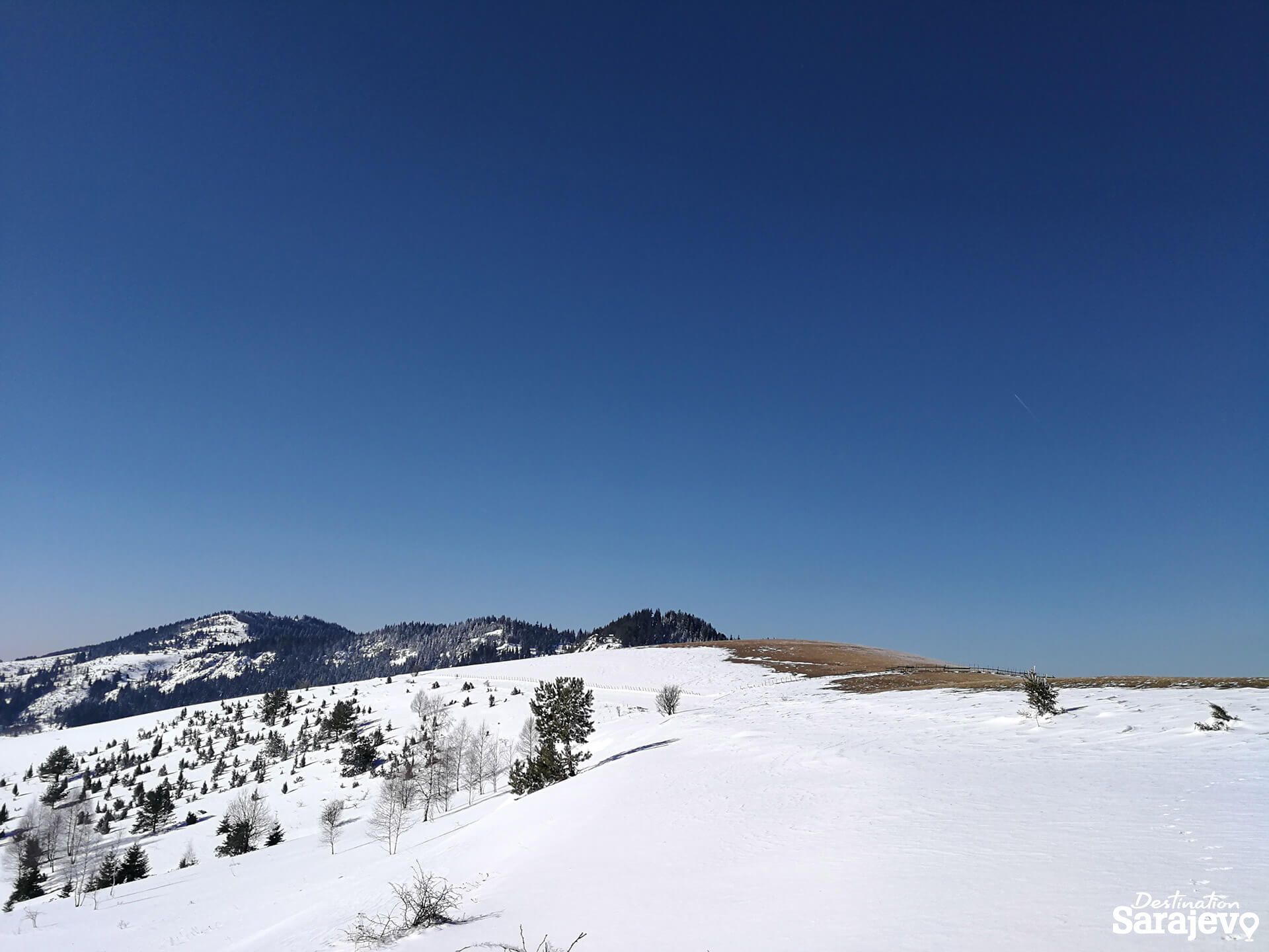 454-bukovik-12-1588761034.jpg