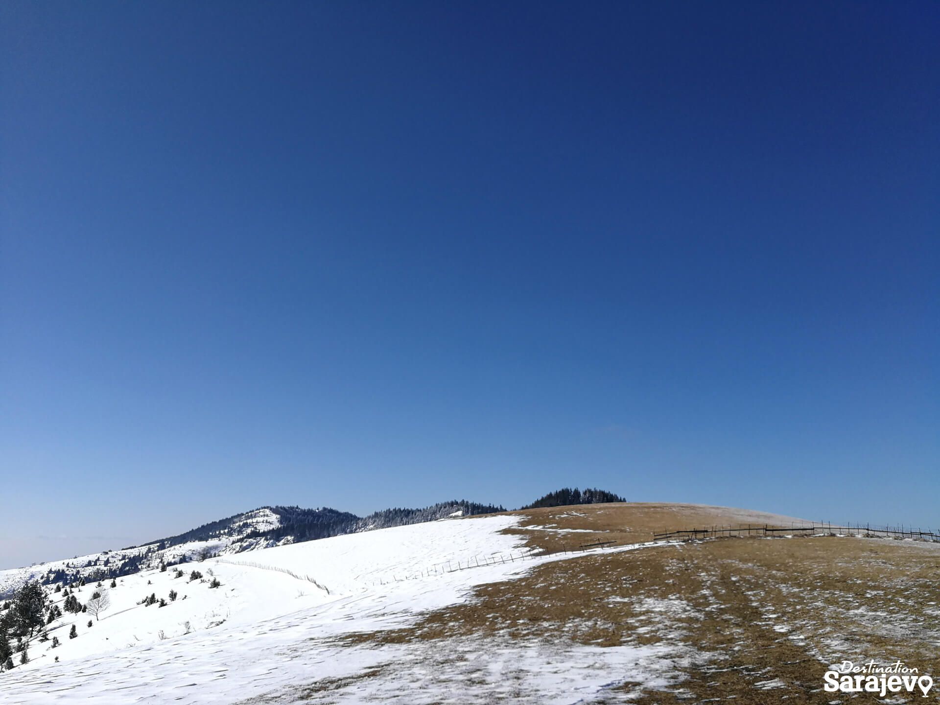 454-bukovik-13-1588761034.jpg
