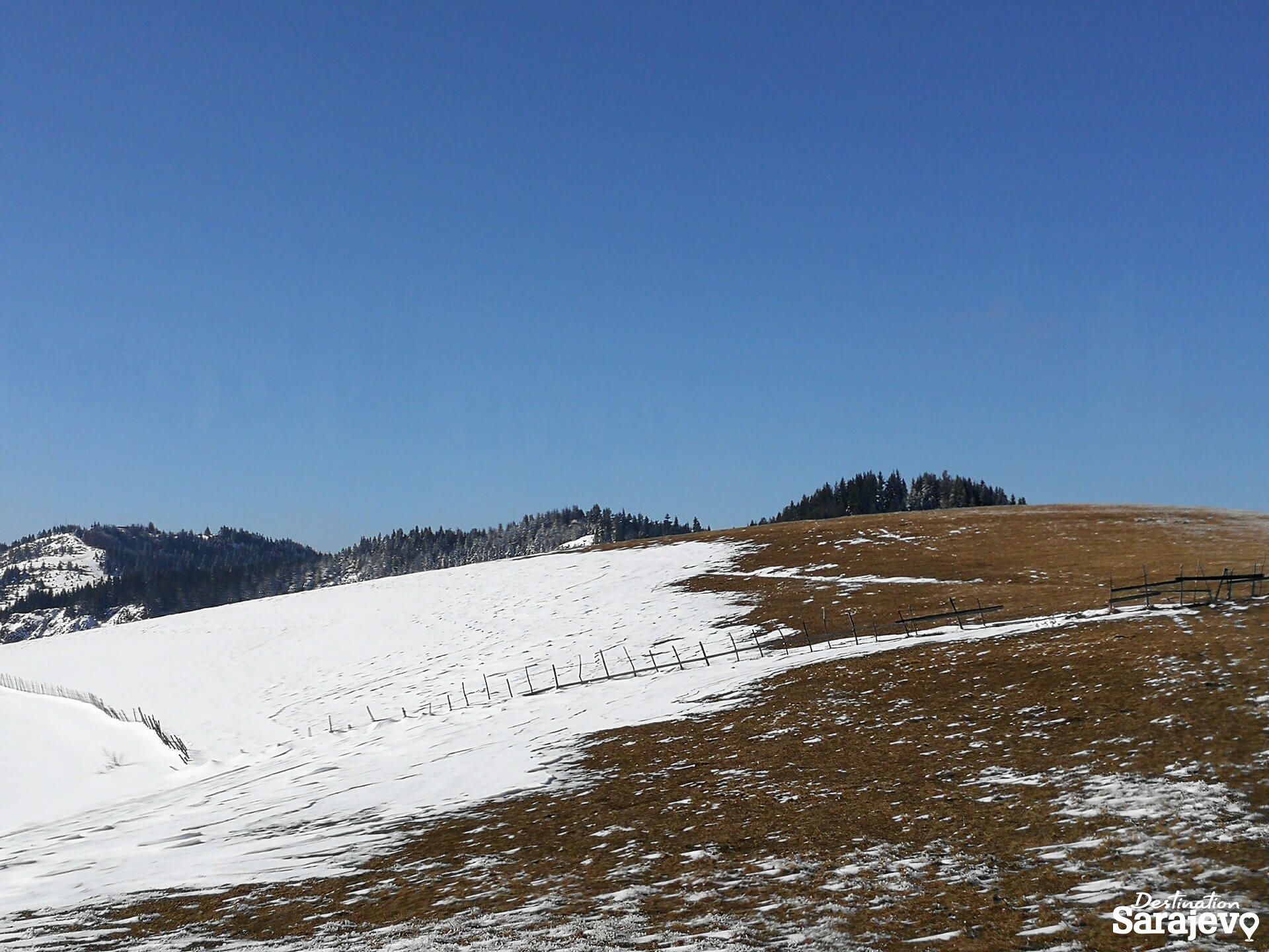454-bukovik-14-1588761035.jpg