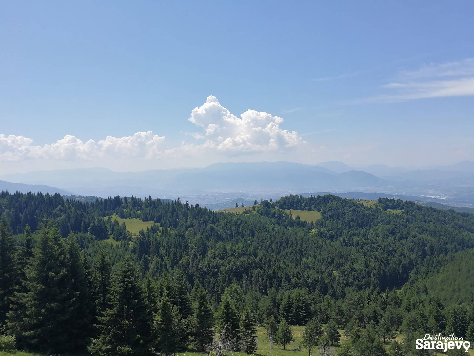 454-bukovik-15-1588761036.jpg