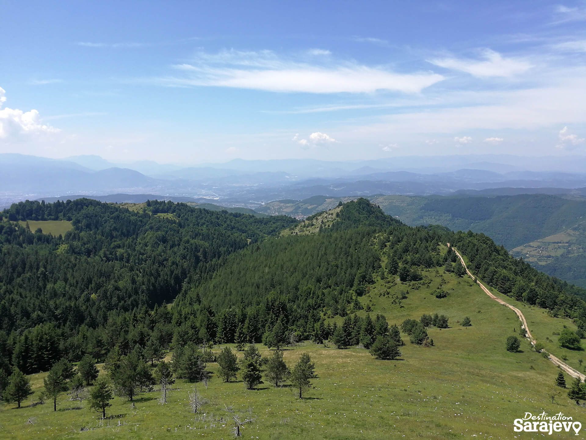 454-bukovik-16-1588761057.jpg