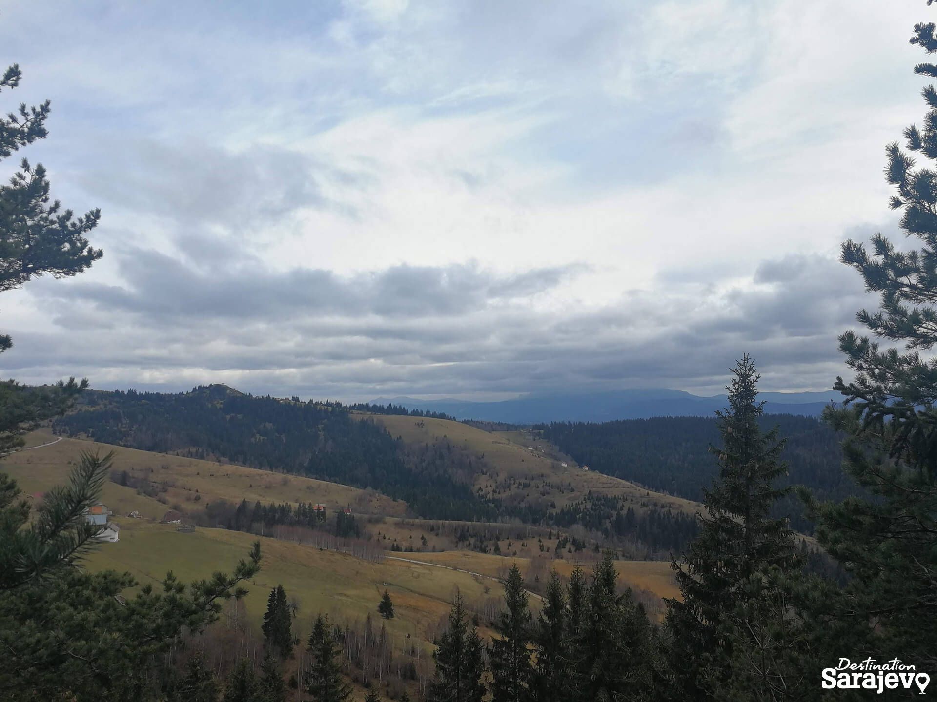 454-bukovik-5-1588761008.jpg