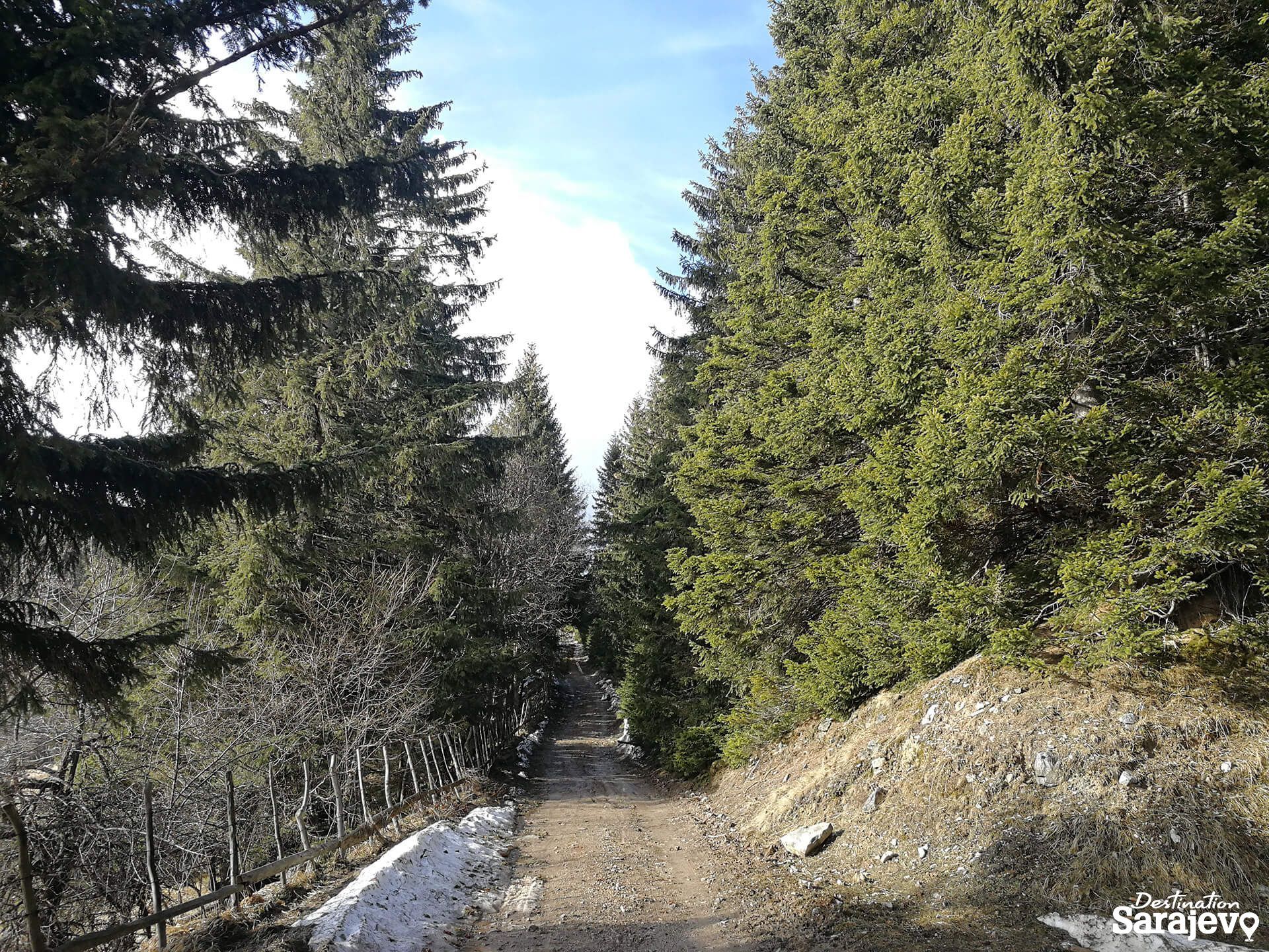 454-bukovik-8-1588761010.jpg