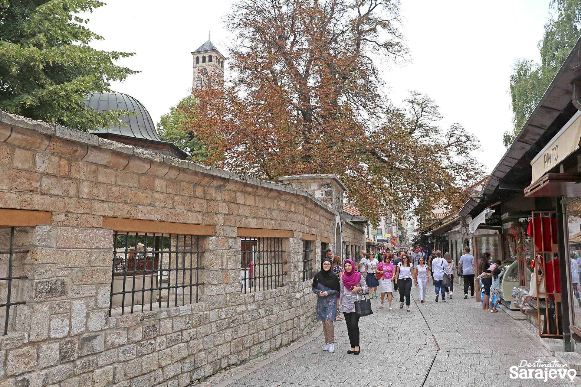 838-saraci-dzenat-drekovic-12-oktobar-2016-2-1585121749.jpg