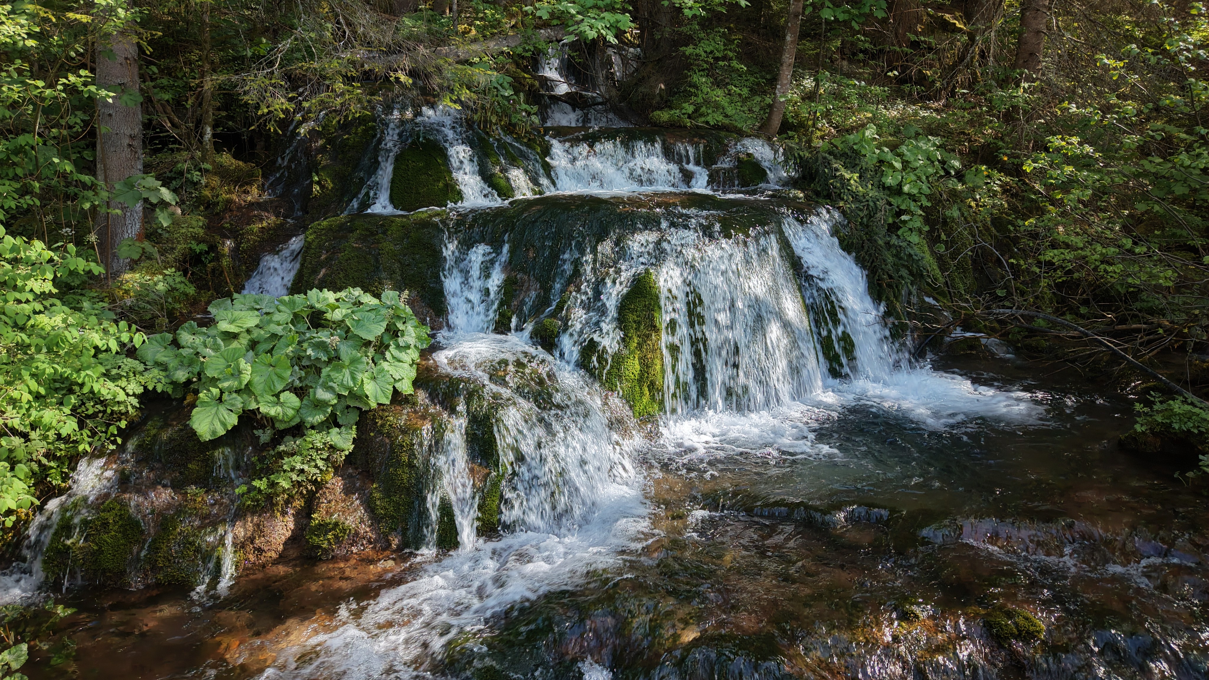 919-the-source-of-paljanska-miljacka-01-1785143153.jpg