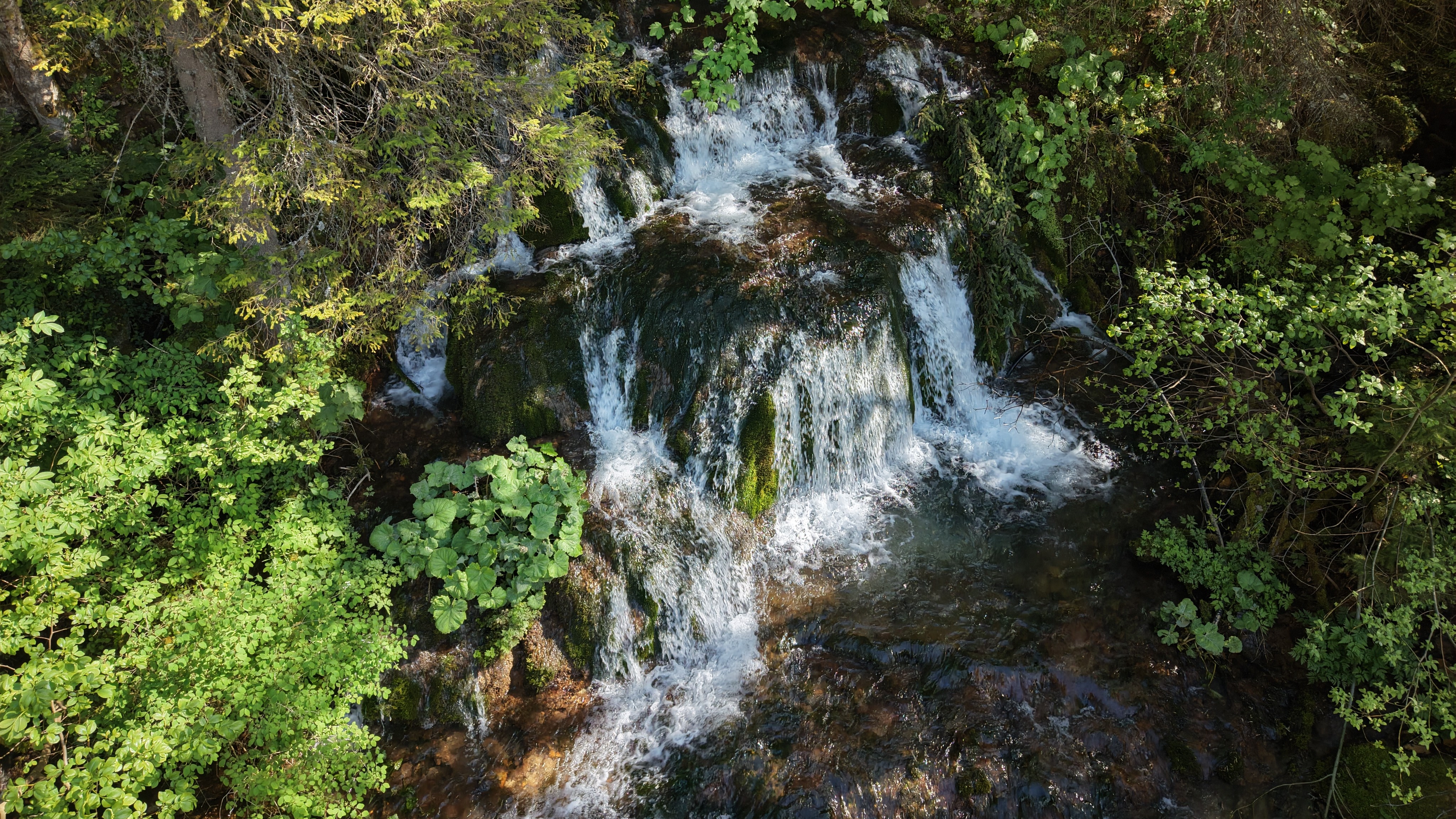 919-the-source-of-paljanska-miljacka-02-1785143153.jpg