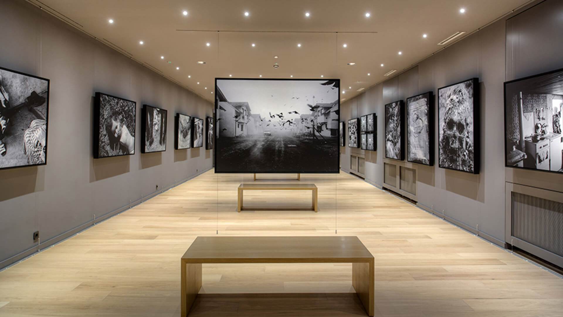 Gallery 11/07/95