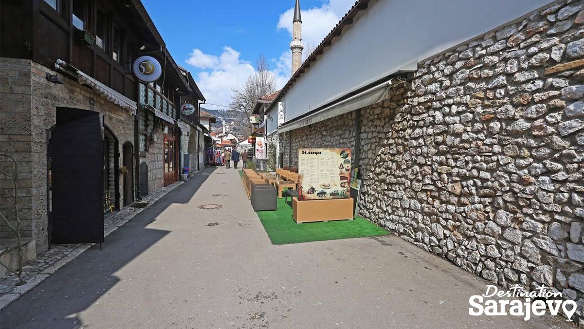 Halači
