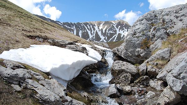 Sinanovići