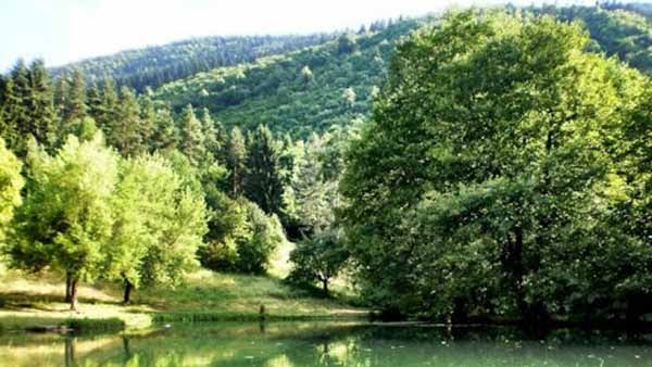 Stojčevac
