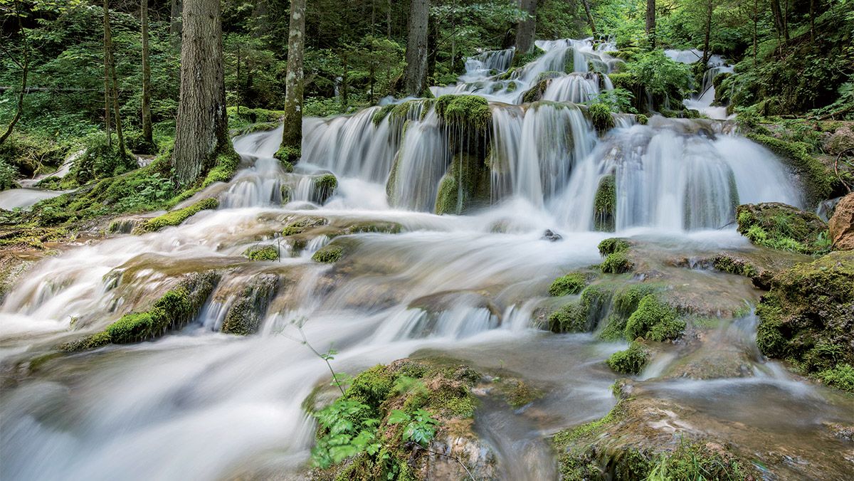 Photo by Adis Spahić