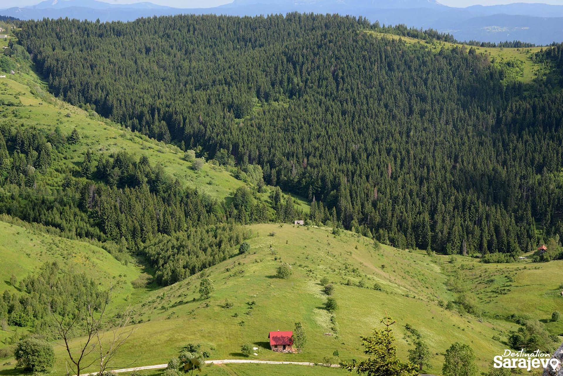 189-bukovik-nikola-blagojevic-29-06-2014-1-1587577689.jpg