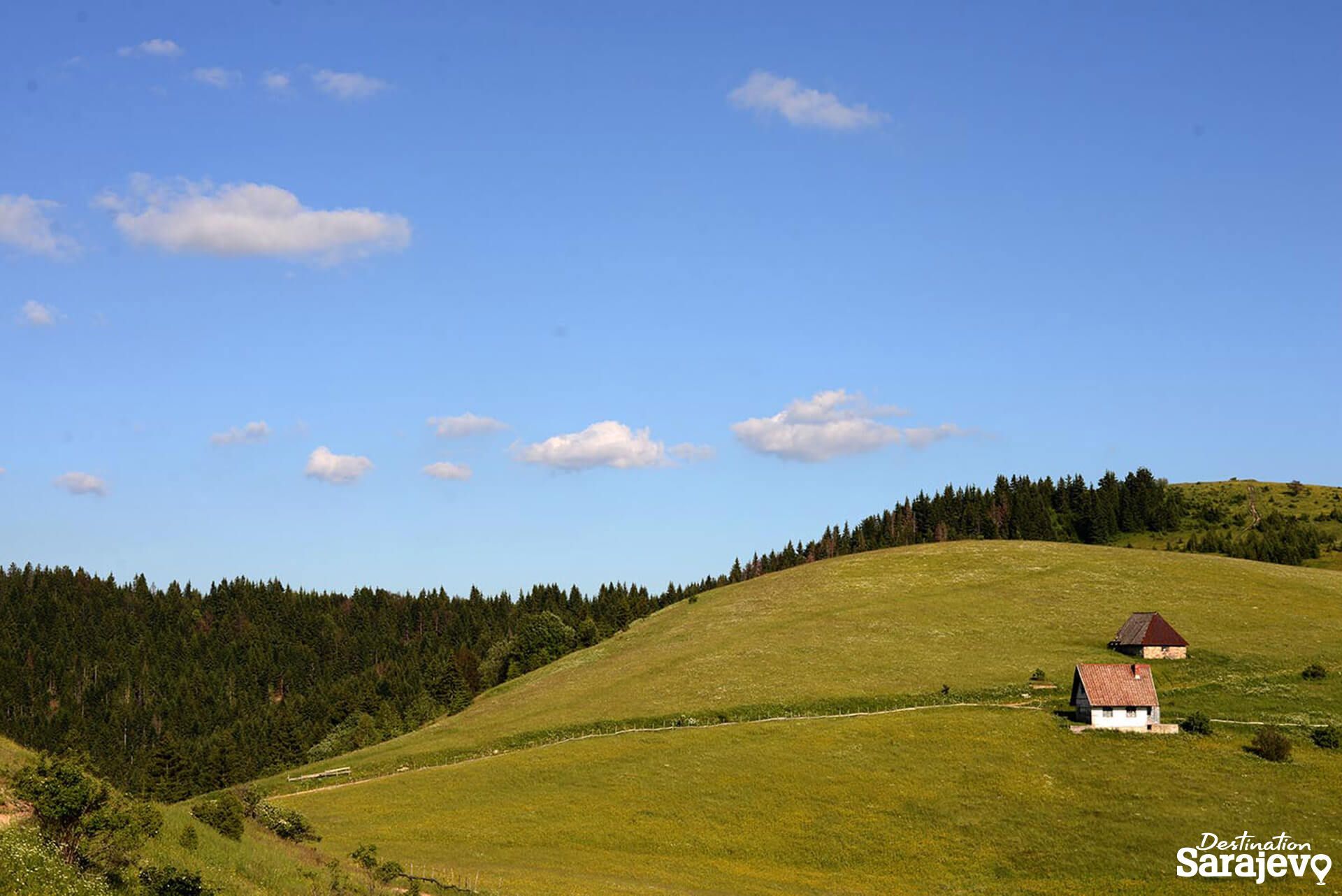189-bukovik-nikola-blagojevic-29-06-2014-8-1587578623.jpg