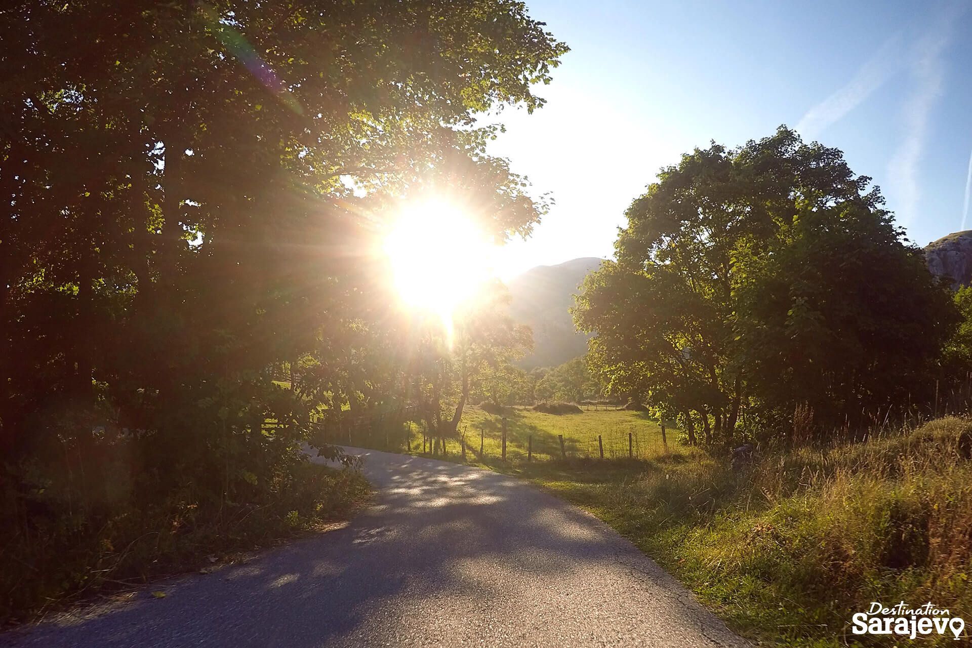 189-umoljani-nikola-blagojevic-30-08-2015-2-1587577762.jpg