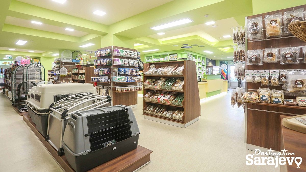 711-zoo4-1545262651.jpg