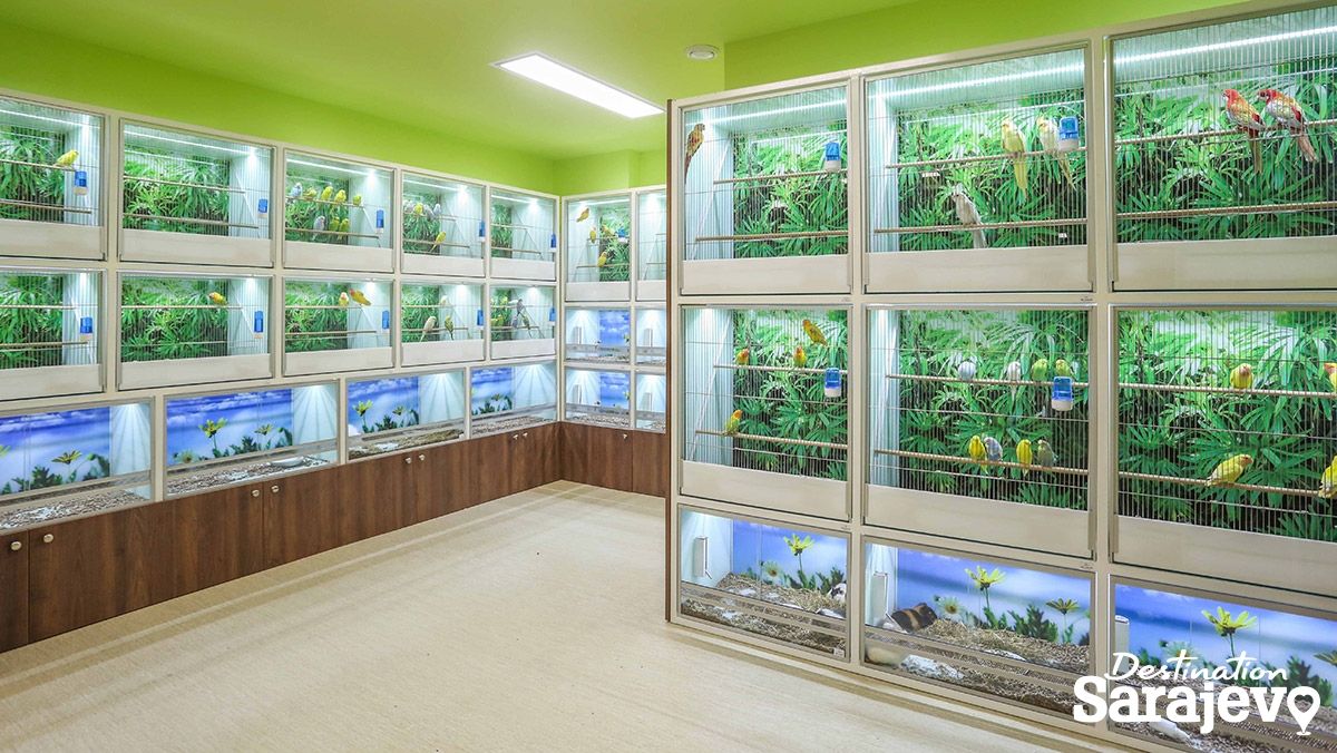 711-zoo8-1545263007.jpg