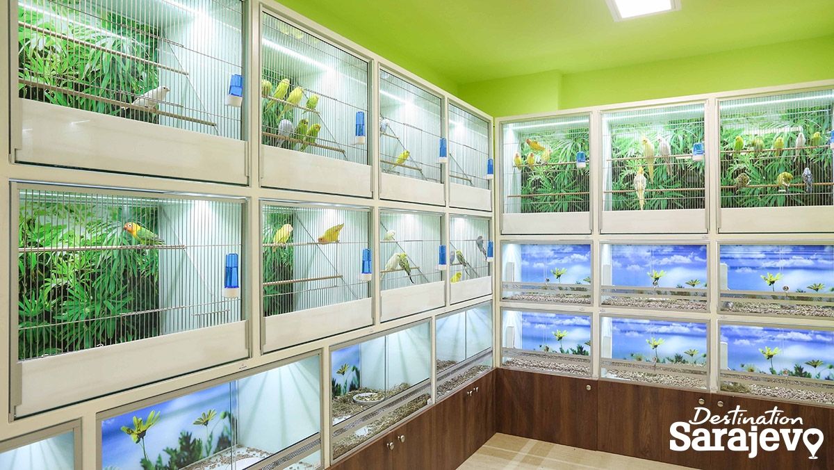 711-zoo9-1545263030.jpg