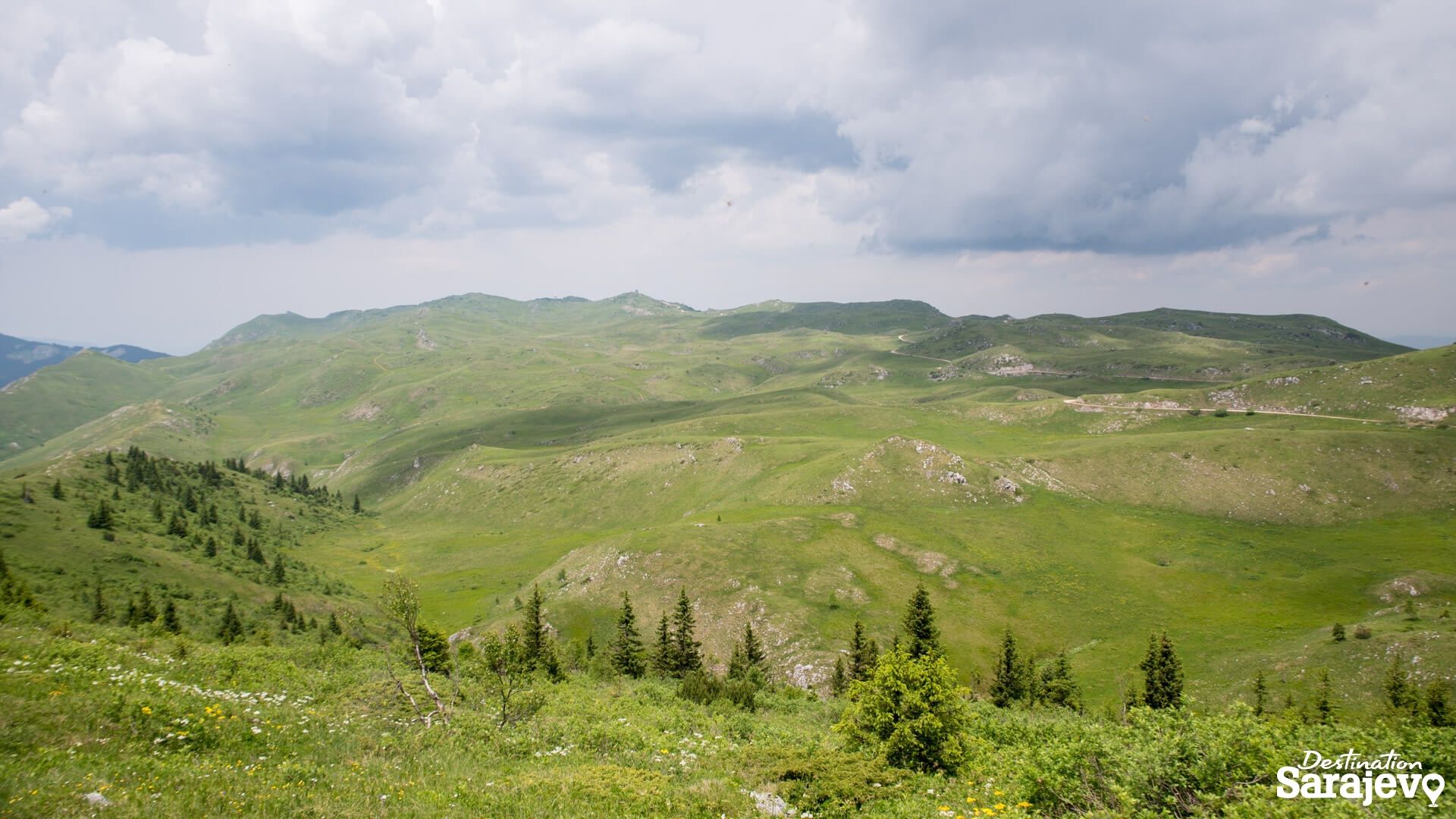 825-dsc-5413-1561222024.jpg