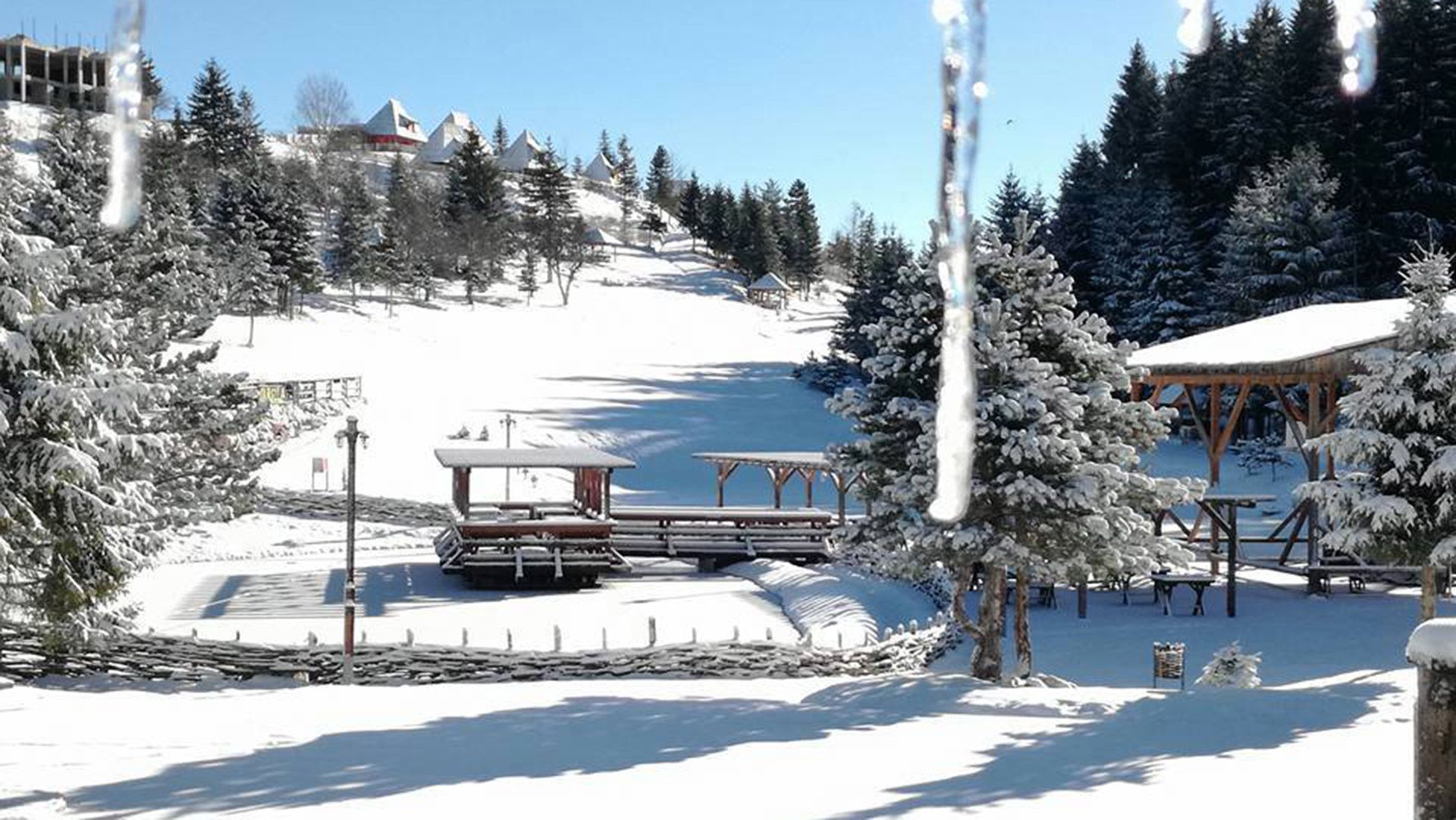 973-brus-1578054021.jpg