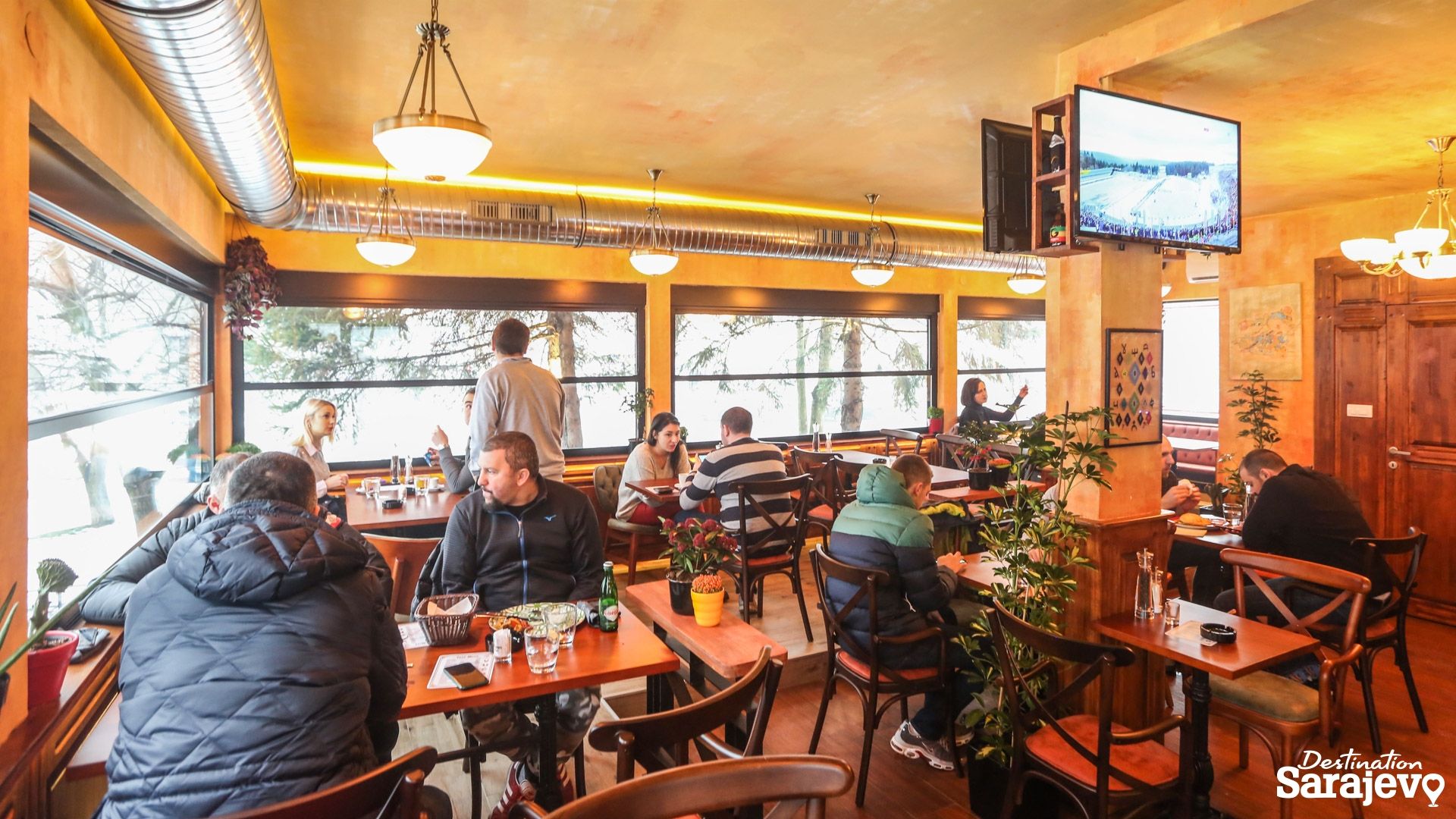 978-vucko-pub-3-1578921681.jpg