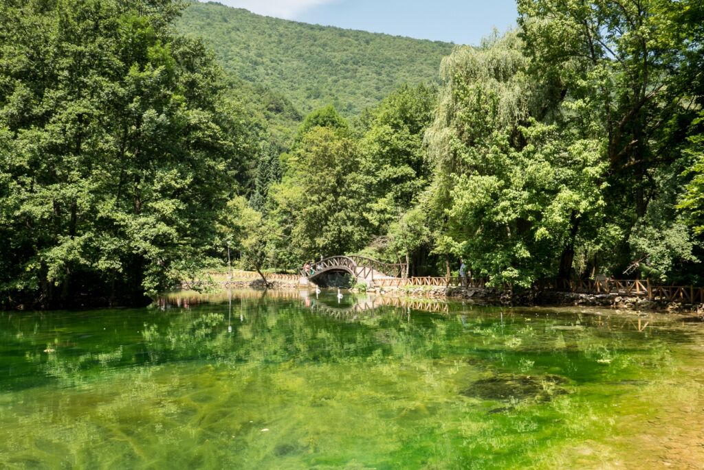 Prekrasna priroda
