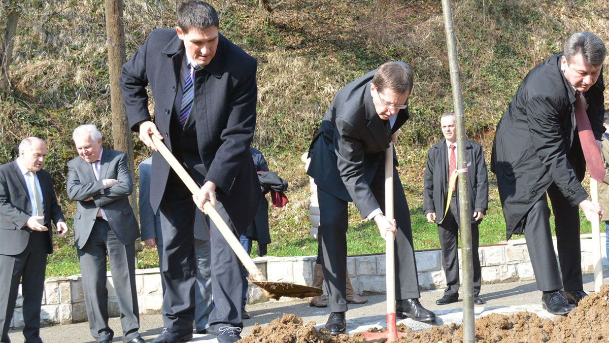 Nova stabla lipe u Aleji ambasadora