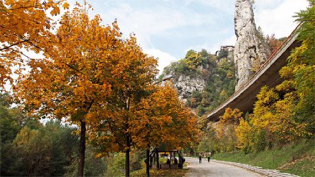 Priča o Darivi