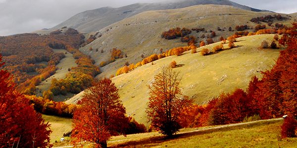 Ljetni sadržaji na Bjelašnici i Igmanu