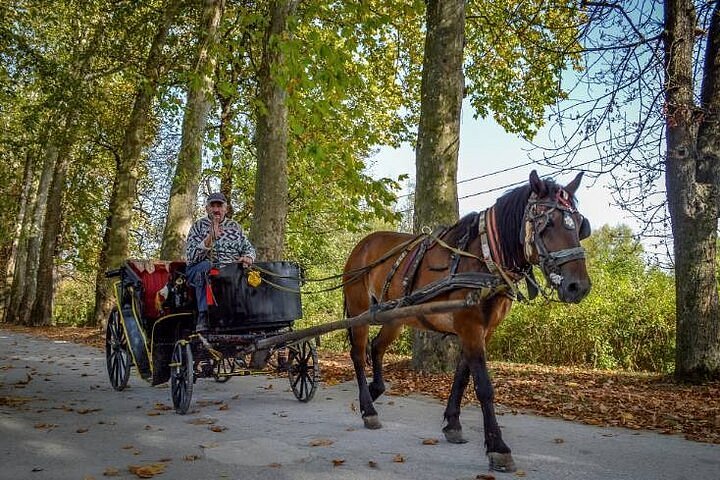 Take a ride in a horse-drawn carriage along Velika Aleja to Vrelo Bosne