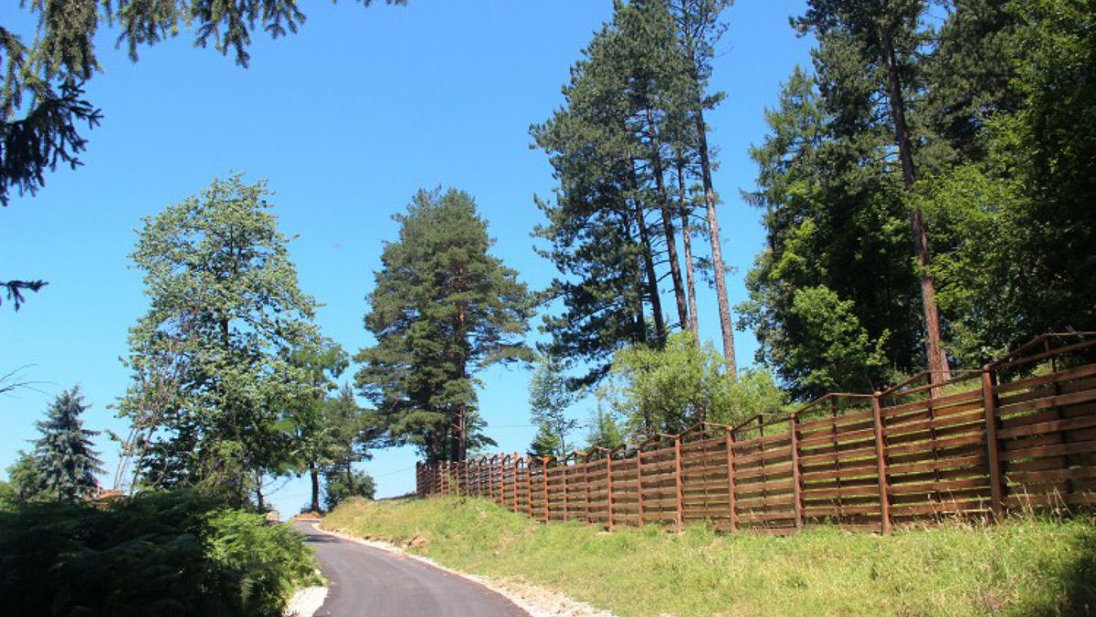 U Sarajevu otvoren Park "Šuma prijateljstva"